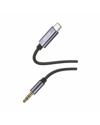 Cable de audio USB-C a Jacl 3.5 mm | Angas Distrubuciones